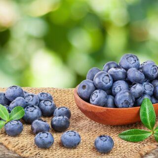 Heidelbeeren