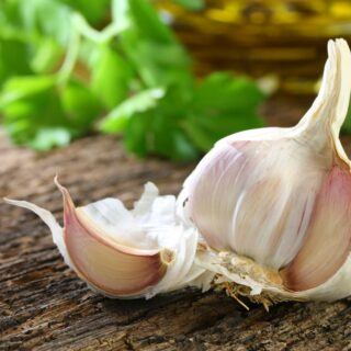 Knoblauch
