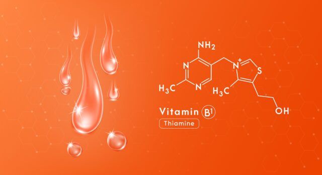 Vitamin B1 (Thiamin) – Bedarf, Quellen und Mangel