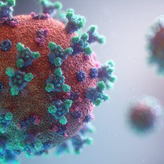 Selbsttest – Gehöre ich zur Risikogruppe beim Coronavirus?