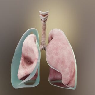 Pneumothorax
