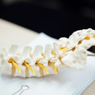 Immunsystem stärken durch eine gesunde Wirbelsäule – Der unterschätzte Zusammenhang Immunsystem stärken durch eine gesunde Wirbelsäule – Der unterschätzte Zusammenhang