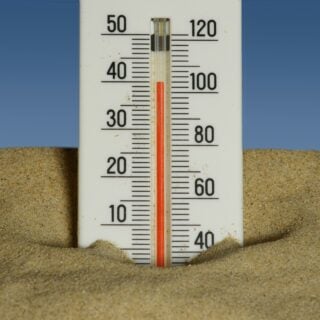 Cool bleiben: So meistern Sie die Hitze gesund und gelassen Ein Thermometer zeigt Temperaturen um die 40 Grad an